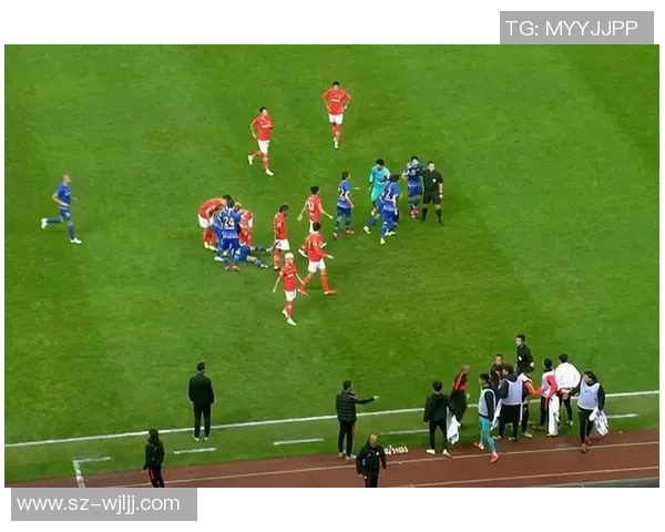 足总杯激战：多特蒙德与马竞战平争议判罚引发全场热议